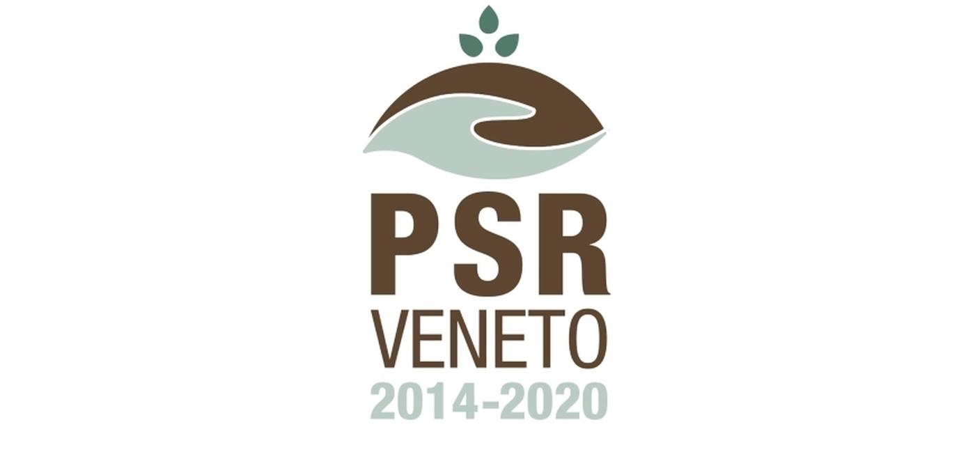 Pubblicati i nuovi dieci bandi del PSR Veneto per quasi 92 milioni di euro