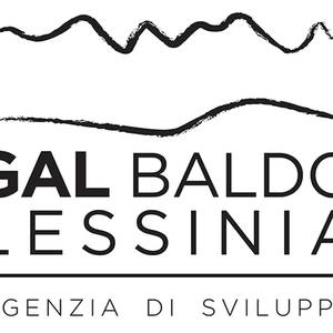Assemblea dei Soci del GAL Baldo-Lessinia - 20.04.2017
