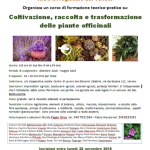 Corso di Formazione Teorico-Pratico: Coltivazione, raccolta e trasformazione delle piante officinali