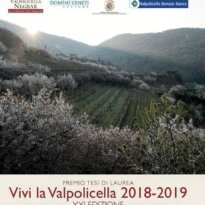 Premio Tesi di Laurea ‘Vivi la Valpolicella 2018-2019’. Prorogati fino al 31 gennaio i termini di consegna